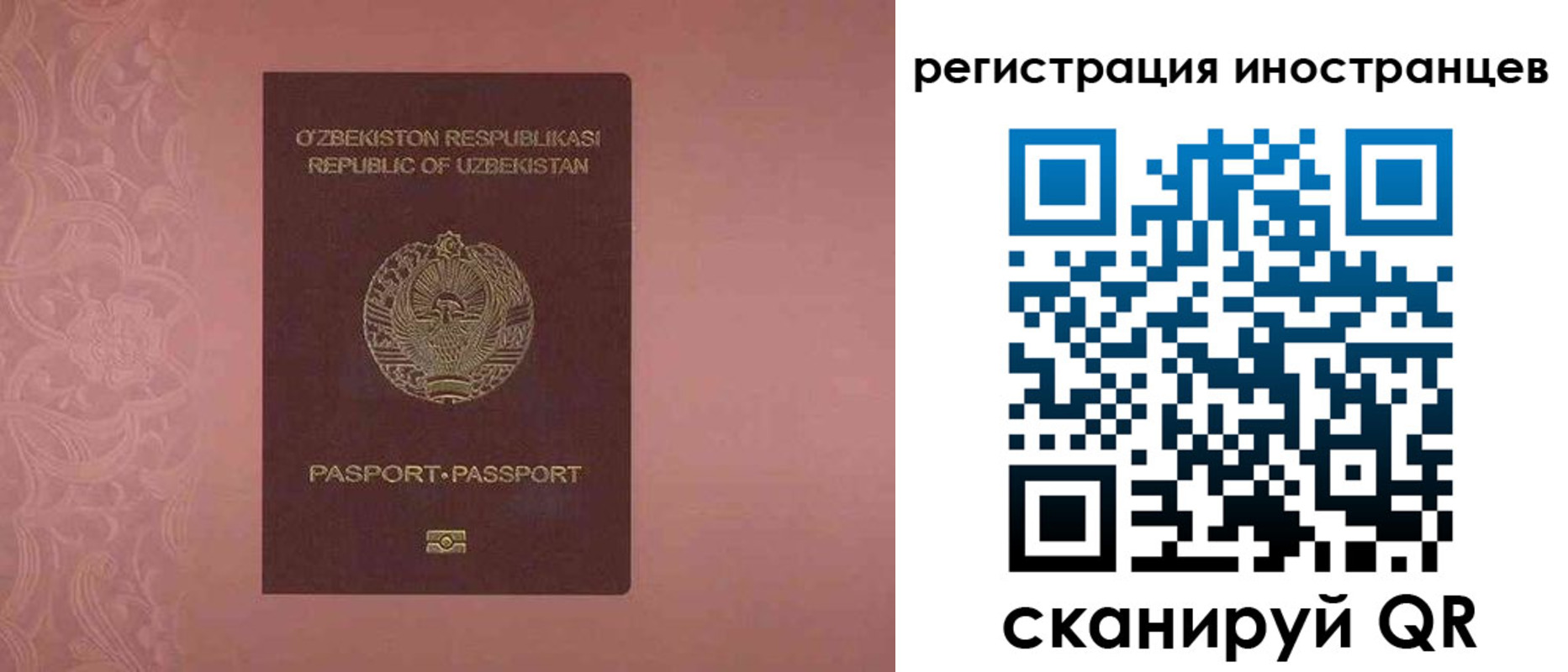 временная регистрация госуслуги в Калмыкии